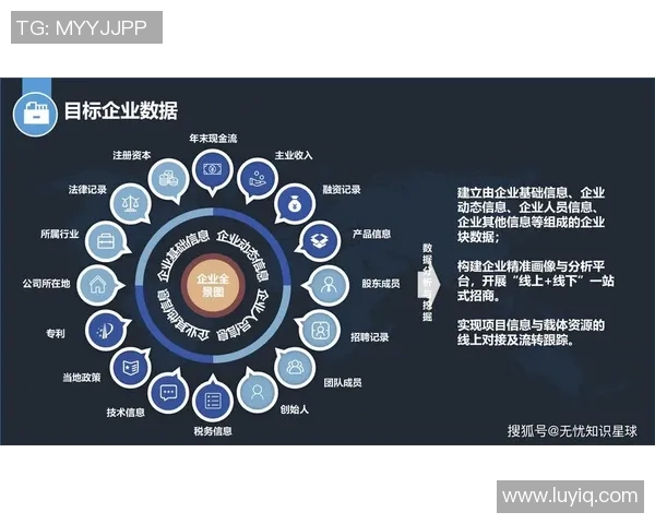 基于大数据分析的统计方法在社会科学研究中的应用与挑战分析